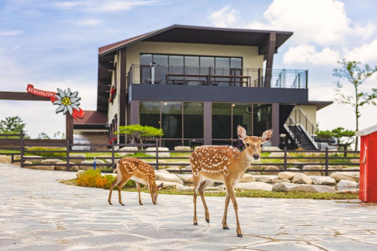 Kensington Resort Seorak Valley Сокчхо Экстерьер фото