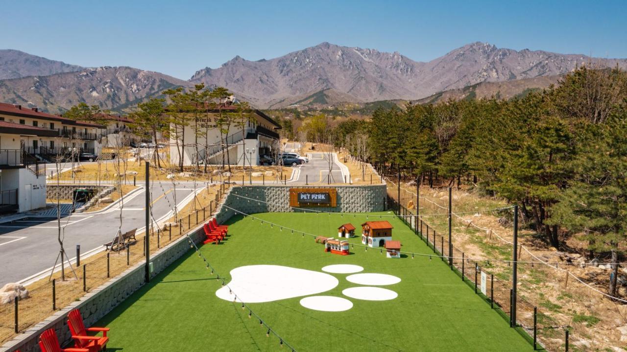 Kensington Resort Seorak Valley Сокчхо Экстерьер фото