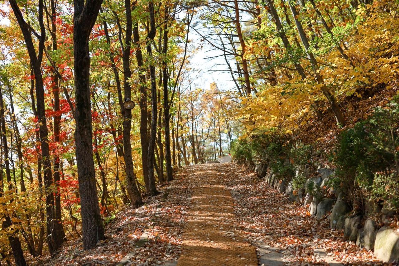 Kensington Resort Seorak Valley Сокчхо Экстерьер фото