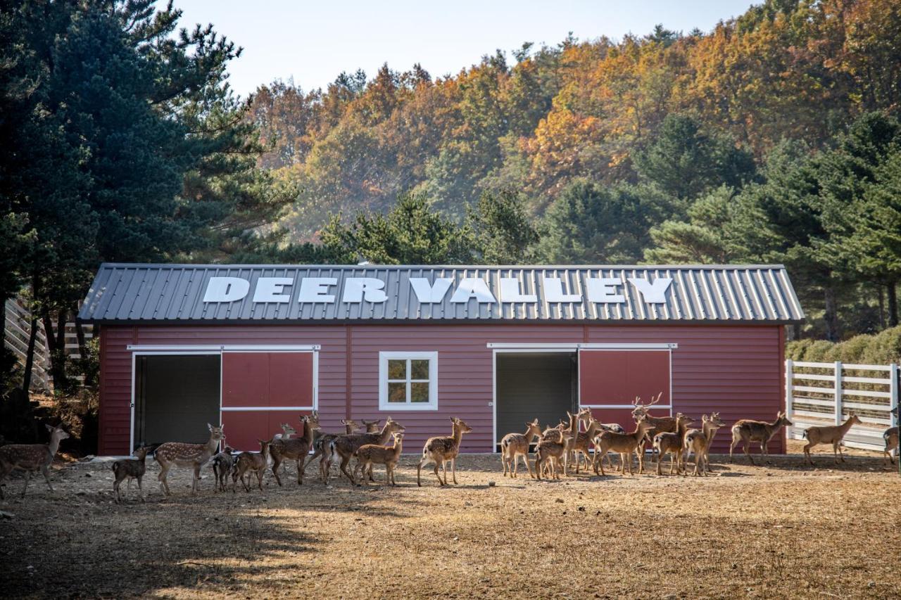 Kensington Resort Seorak Valley Сокчхо Экстерьер фото