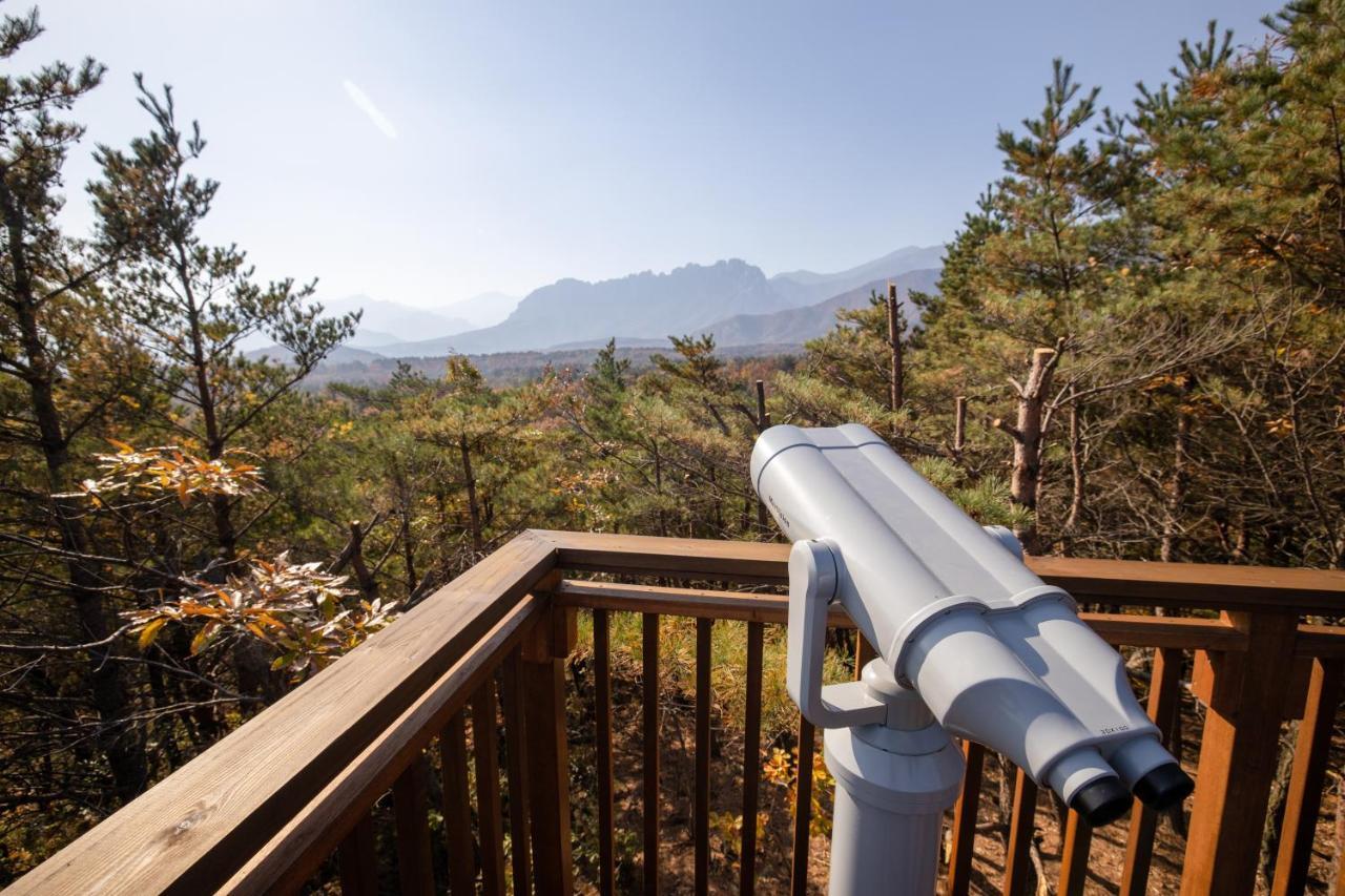 Kensington Resort Seorak Valley Сокчхо Экстерьер фото